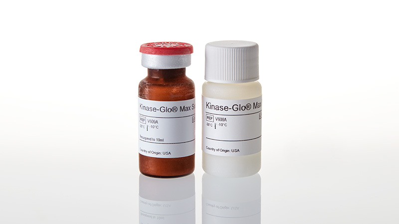 V6071_Kinase-Glo--Max-Luminescent-Kinase-Assay_3