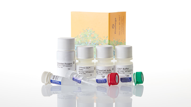 V7681_GTPase-Glo--Assay--1-000-Assays_3