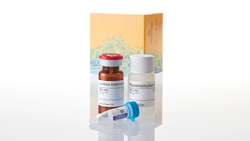 V8761_P450-Glo--CYP1B1-Assay--10ml_3