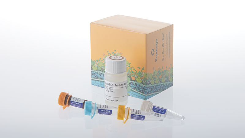 w2071-lumit-5-methoxyuridine-dsrna-detection-assay