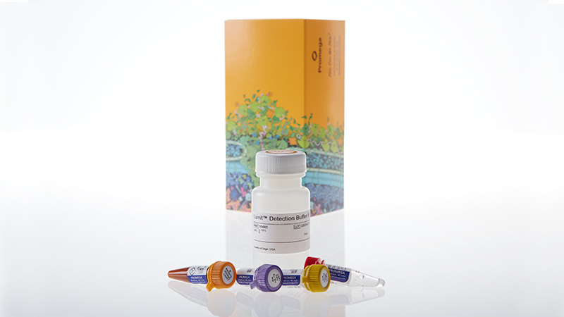 W7011_Lumit-Mouse-IL-1beta-Immunoassay_3