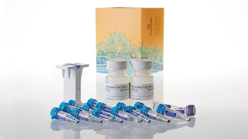 Z5300_PolyATtract--mRNA-Isolation-System-III_3