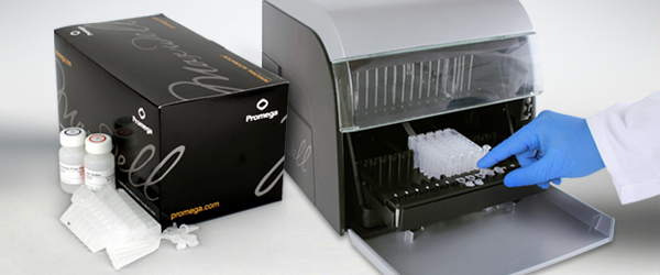 Maxwell-CSC-RNA-hero-600x250