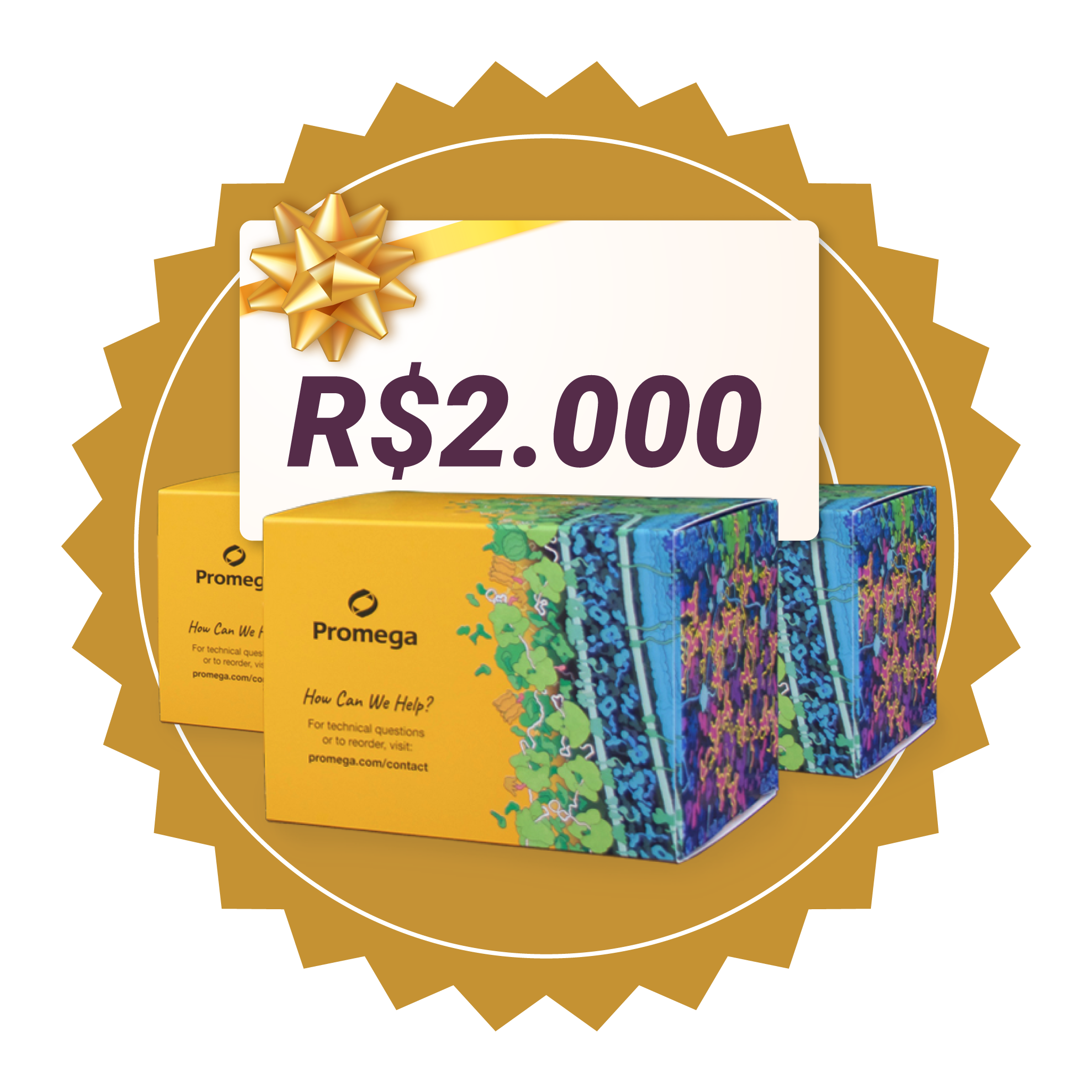 2lugar-rising-research