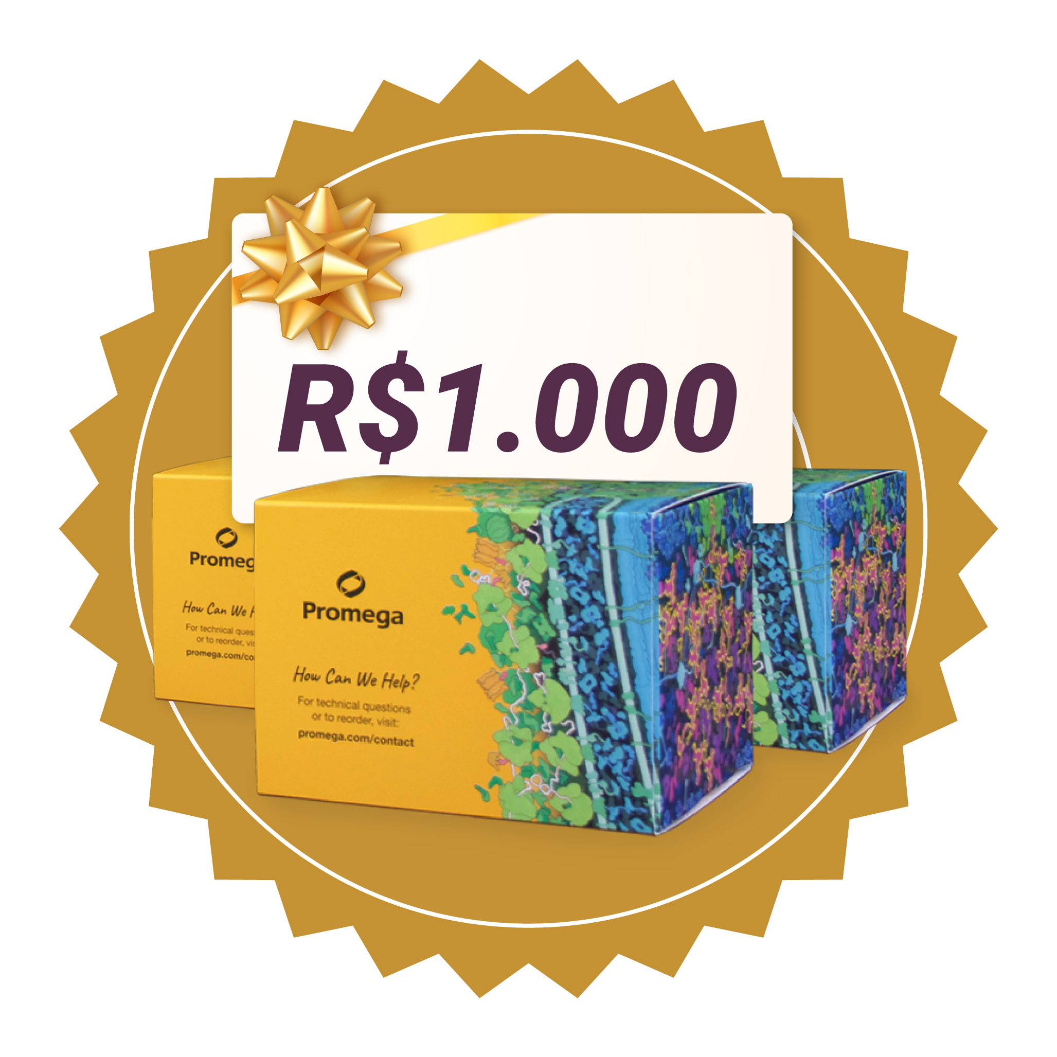 3lugar-rising-research