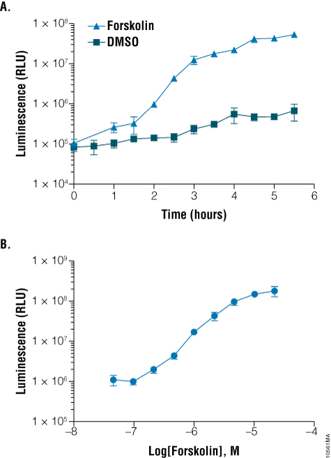 Reporter gene assays using secNluc.