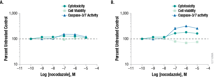 Time and dose-dependent effects of nocodazole, an anti-mitotic agent that disrupts microtubule formation.