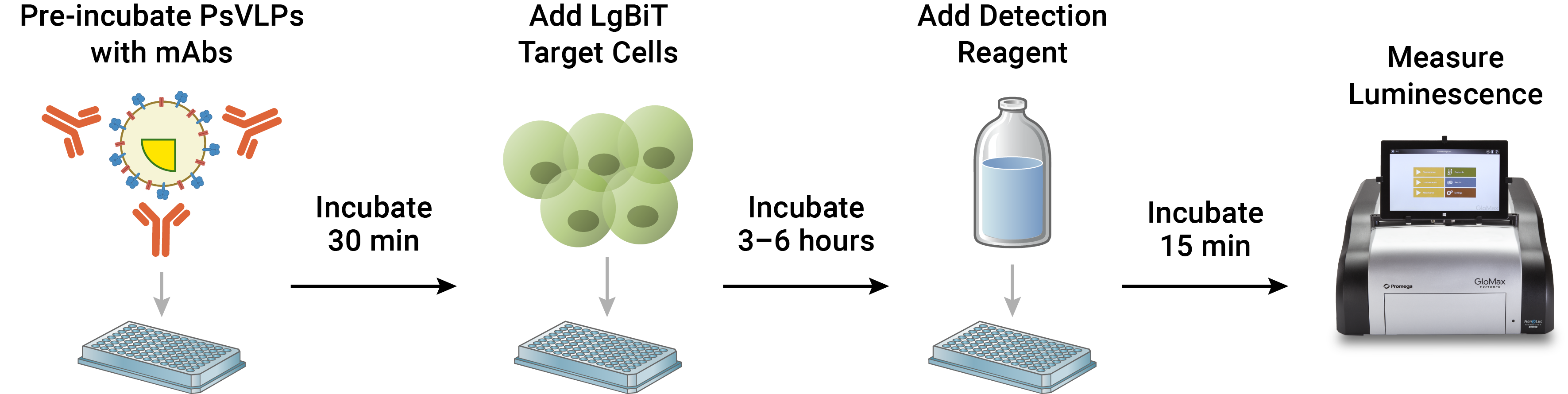 Drawing showing the Filovirus HiBiT-PsVLP Bioassay workflow.