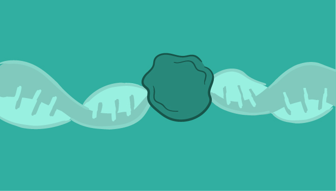 proteindetsubpage-detection-one-web