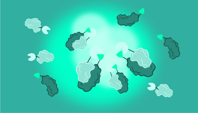 proteindetsubpage-detection-six-web