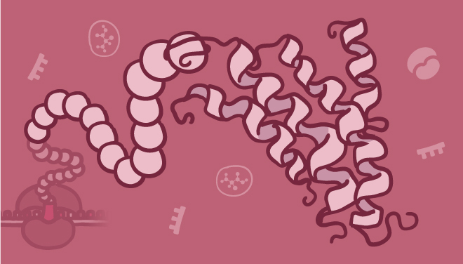 proteinexpressionsubpage-detection-five-web