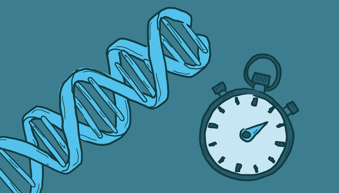 Rapid DNA Technology