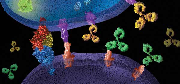 Using Biologics to Understand Immunity