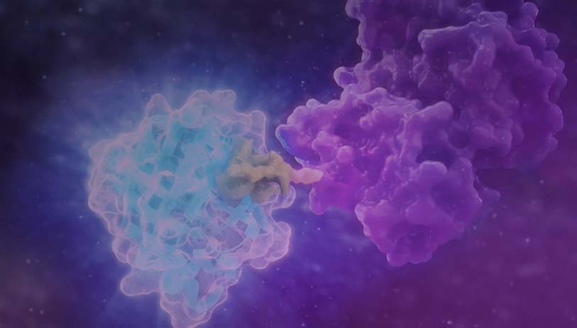 NanoLuc Technology using HiBiT